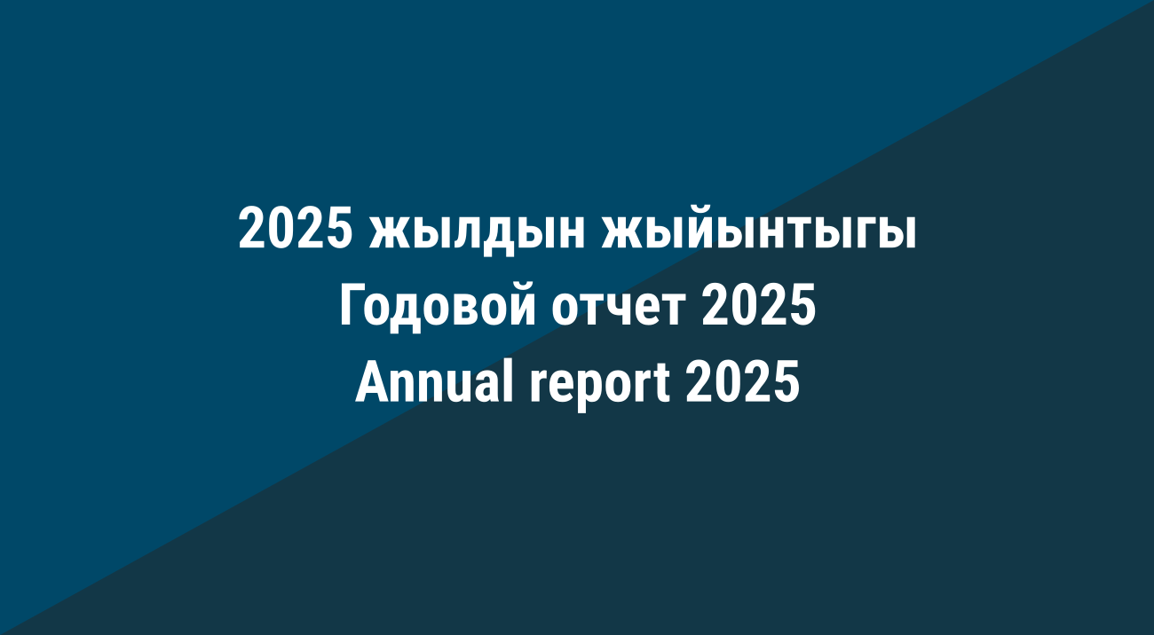 Годовой отчет 2025