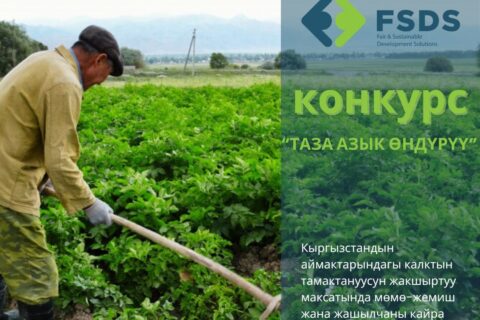 Общественный фонд FSDS объявляет конкурс «Таза азык өндүрүү» («Производство экологически чистых продуктов питания») ￼